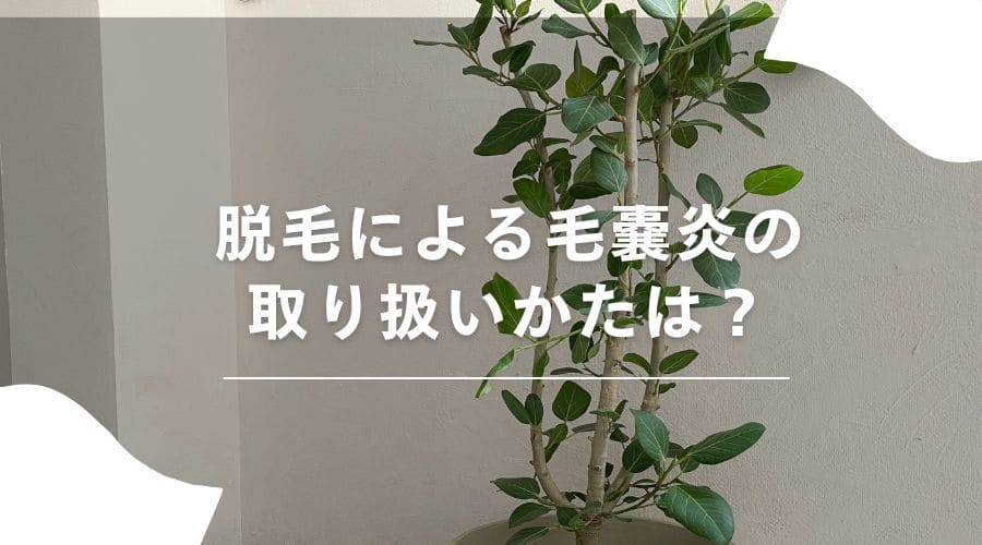 脱毛　毛嚢炎