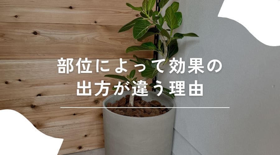 セルフ脱毛　効果　いつから