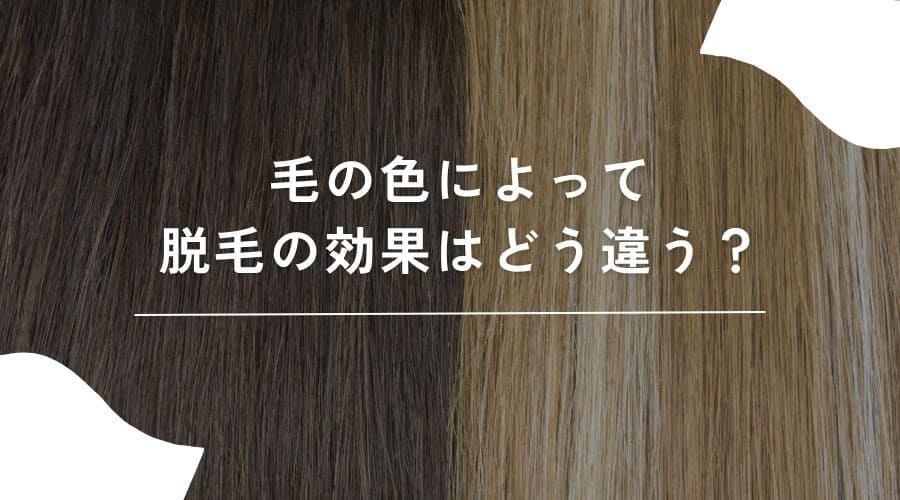 毛の色による効果の違いのイメージ